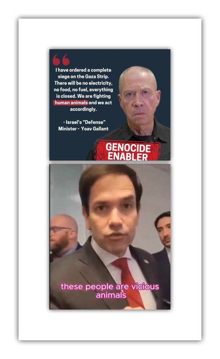 @SenTomCotton Tom Cotton: “These little Gazas are disgusting cesspools” I don’t think even the Nazis openly said racist filled hate like these Zionists. And yet, then want us to believe it’s Zionists who need protecting.