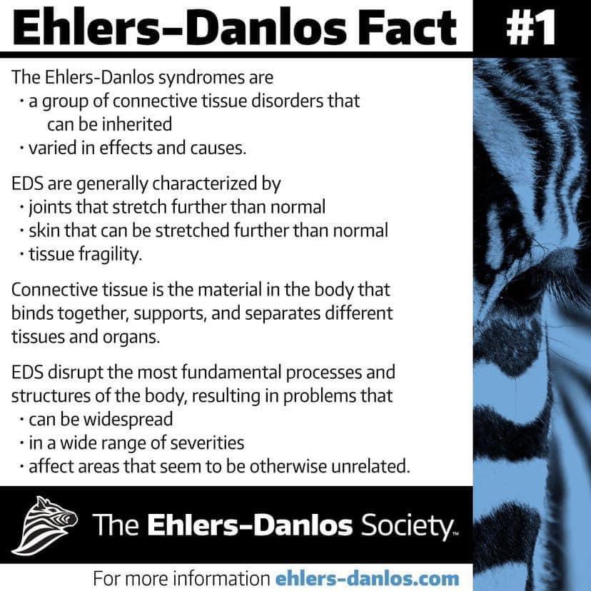 Ehlers-Danlos Awareness Month - Day 1 🦓
#EDS #EDSAwareness #EDSAwarenessMonth #EhlersDanlosSyndrome #Hypermobility #POTS #MCAS #ChiariMalformation #Dysautonomia 
#IntercranialHypertension #Dislocations #Subluxation #ConnectiveTissue #ZebraStrong #JointDamage #InvisibleDisability