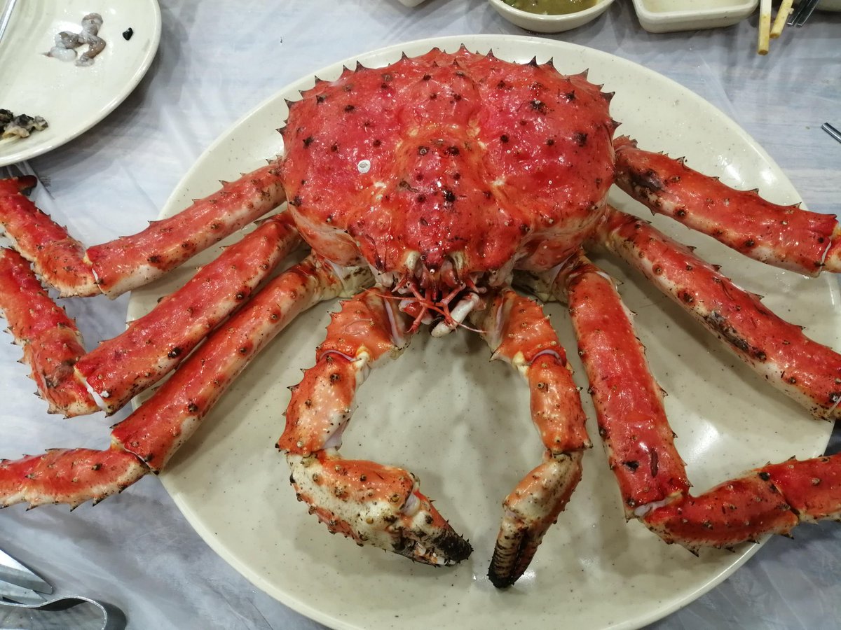 I wish I had (1) one 10 pound ($400) Live King Crab so I could make 20+ different dishes out of it. I would make a king crab sandwich roll, king crab (taraba kani) sushi, king crab noodle dish, king crab soup, a king crab fried rice, a king crab curry, a king crab gumbo etc etc