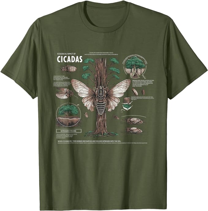 Periodical Cicadas information What Do Cicadas Summer Double T-Shirt amazon.com/dp/B0D33N64XN
#Cicadas2024