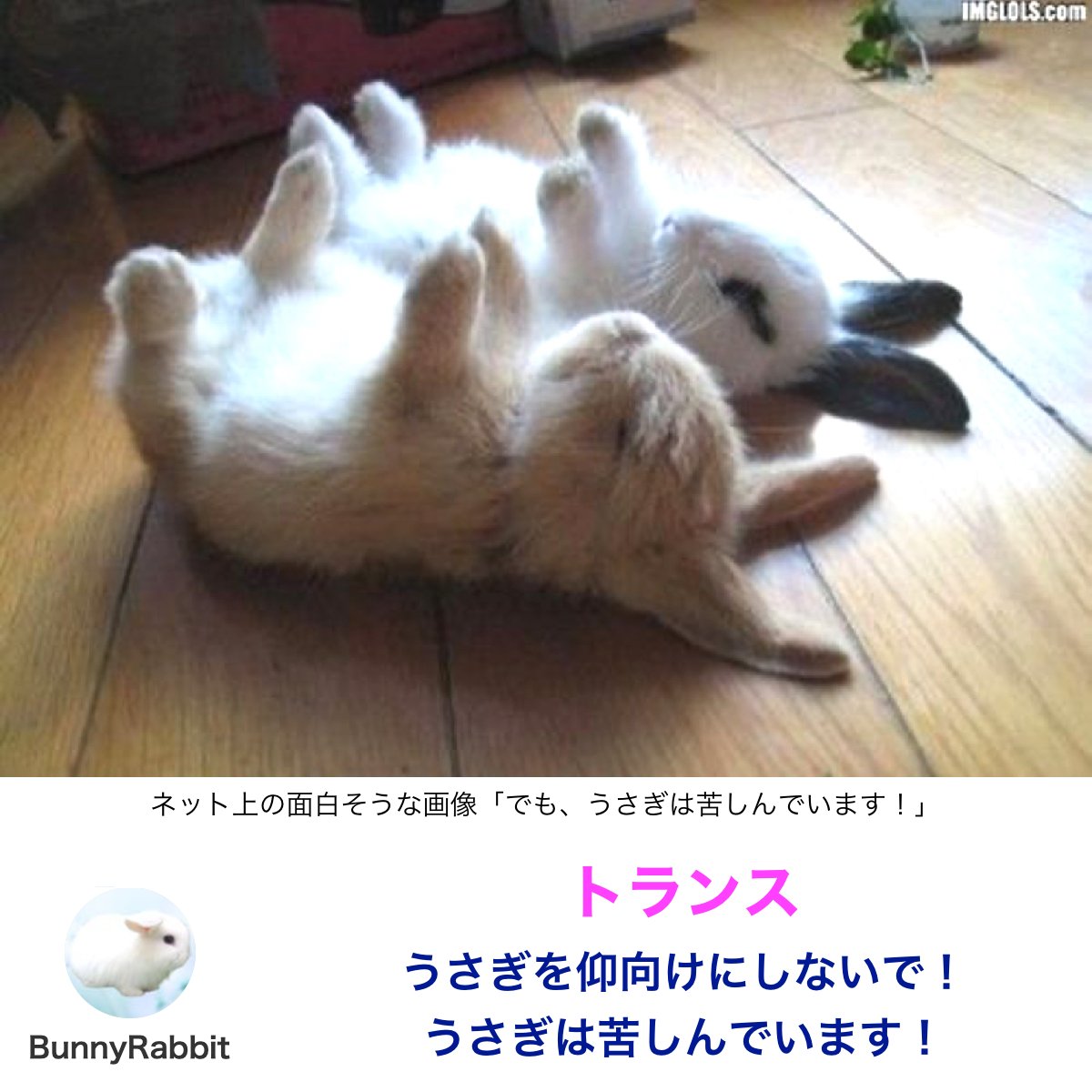 トランス：うさぎを仰向けにしないで！ うさぎは苦しんでいます！

Blog を更新しました！

トランス：うさぎを仰向けにしないで！ うさぎは苦しんでいます！ - BunnyRabbit バニーラビット: ameblo.jp/blueeyedwhite/…