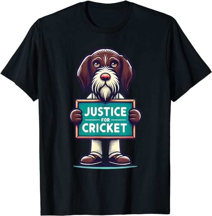 amazon.com/dp/B0D33XYH9G

#CricketDeservedBetter #TeamCricket #JusticeForCricket