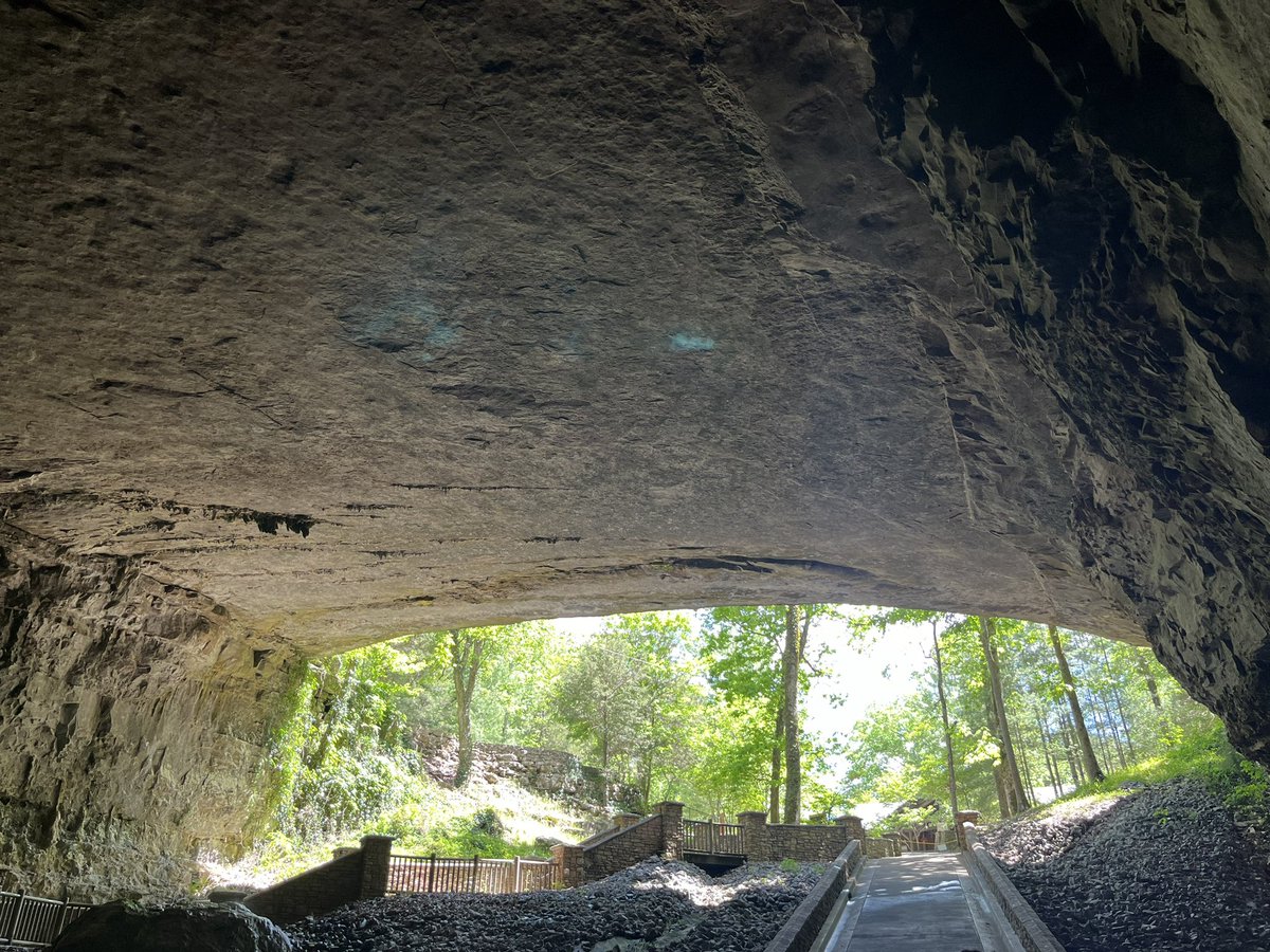 The natural cave entrance is 25’ high and 125’ wide. Lostrv.com
#spelunking #cavetours #Stateparks