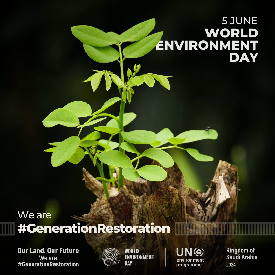 Get ready for this year’s #WorldEnvironmentDay!
Join #GenerationRestoration and millions around the world to take action to restore our land & soil.!
Here’s how you can get involved: worldenvironmentday.global