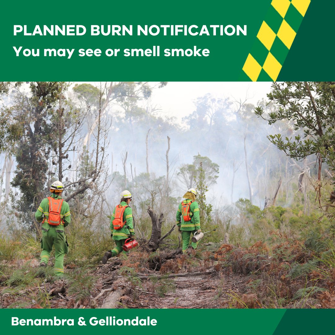 Our crews are #PlannedBurning at Benambra and Gelliondale over the next few days. You may see or smell smoke. More info at: plannedburns.ffm.vic.gov.au #FFMVic