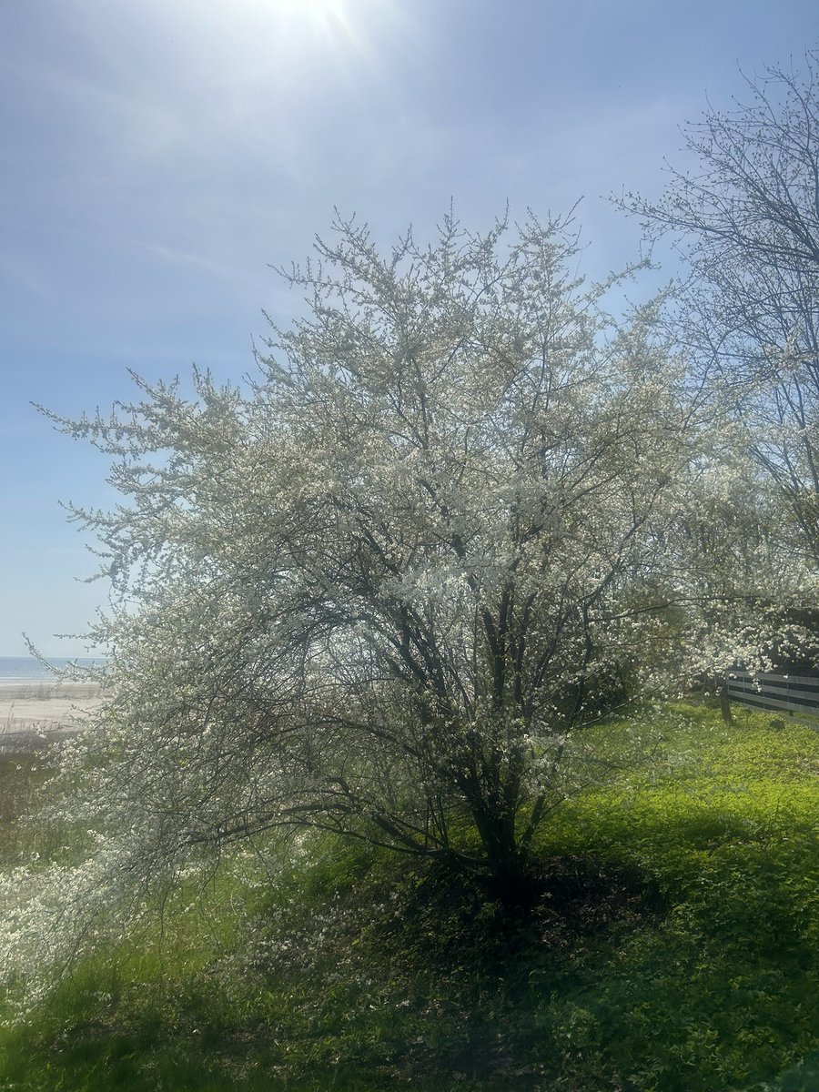 Ar sapīkumu konstatēju, ka šodien tomēr ir darba diena, par šo netaisnību un citām aktualitātēm īsi pirms pulksten 8 būšu <a href="/TV3zinas/">TV3 Ziņas</a> 900 sekundēs.