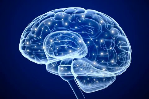 Functional #brain imaging is a technique used to measure the flow of blood, neural activities and metabolism in the human brain.

Read More: maximizemarketresearch.com/market-report/…

#BrainImagingSystems #Neuroimaging #fMRI #PET #EEG #fNIRS