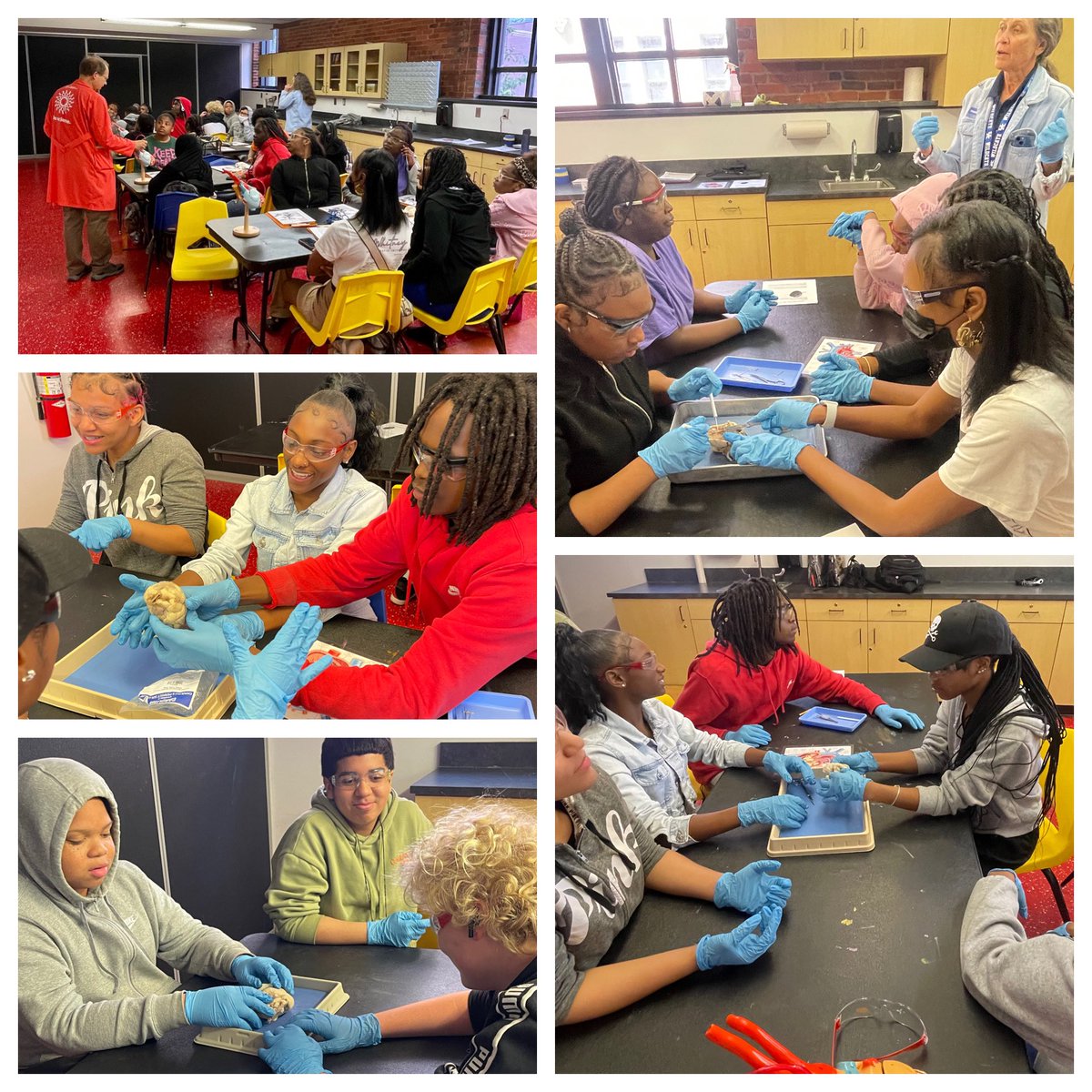 Healthcare Science students enjoyed @KYScience Pulse of Surgery, watching a coronary artery bypass live & asking questions of the UofL surgical team during the procedure. This was followed by a sheep heart dissection activity & a lunch meeting. w/ UofL med student. 💙💛