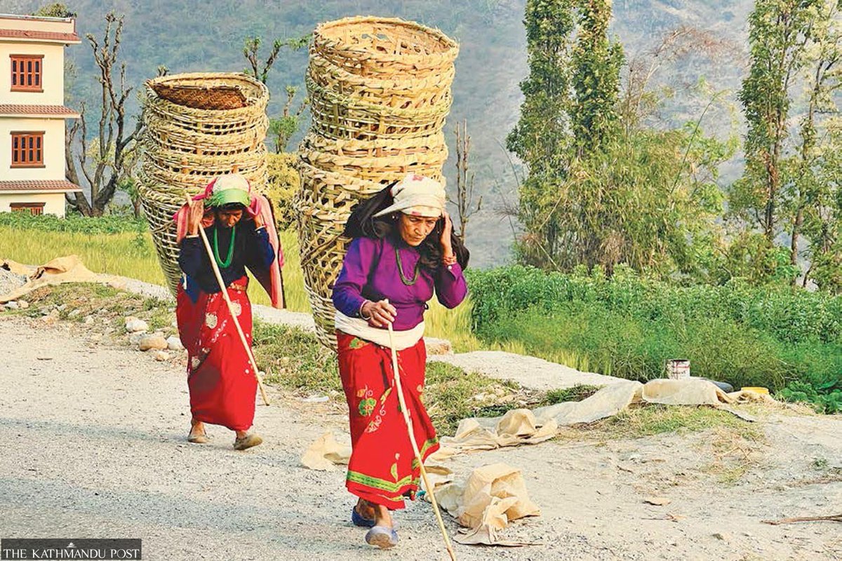 Women in Musikot Municipality in West Rukum heading for the market to sell locally-made wicker baskets. Traditional handicraft skills are dying out due to a lack of skill transfer to the new generation and the increasing popularity of plastic goods.

Photo by: Mahesh KC