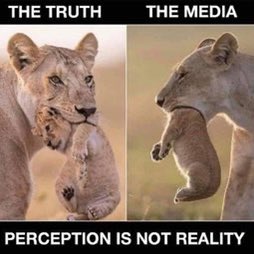 I love this meme… a very accurate illustration of how the mainstream media only lets us see what they want, from a very edited & misleading standpoint. If only people knew the depths of the deception. 
#JournalismIsDead #MediaCoverage #WakeUpAmerica #WeAreTheNewsNow #WeThePeople