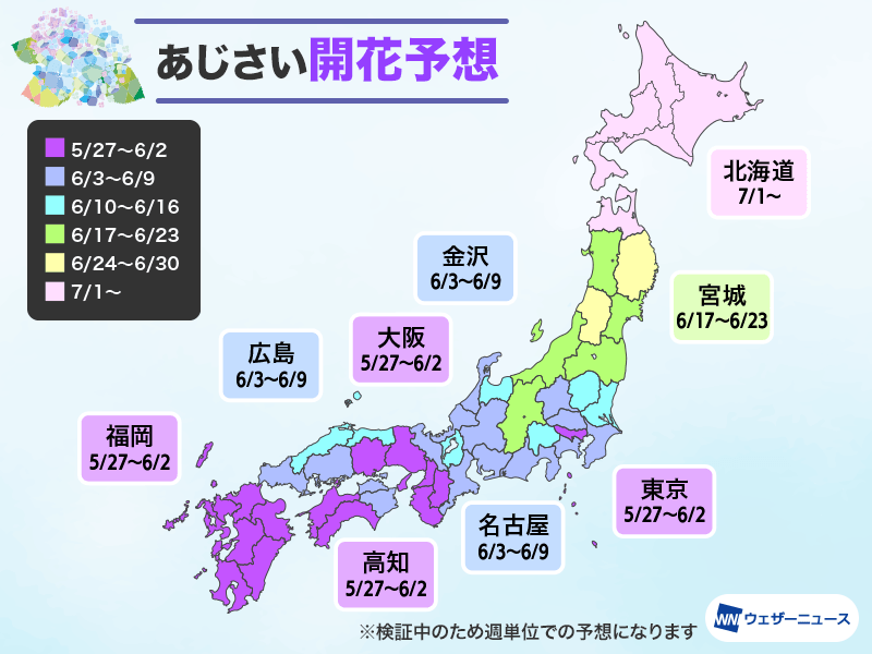 ＜あじさいの開花予想2024＞
紫陽花は青々とした葉が生え、すでにつぼみが生長している個体も出てきました。
今年は6月中に咲く地域が多く、早い所では5月下旬には咲き始める予想です。
全国的に高温傾向で平年より非常に早く、昨年並の開花となる所が多い見込みです。
weathernews.jp/s/topics/20240…