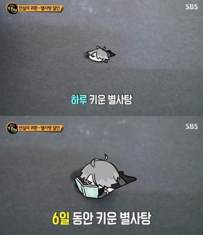 X02110709's tweet photo. 6일 키운 알하이탐 https://t.co/iVAcZQ73N7