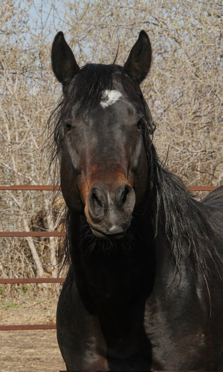 My stallion The struggle is really 🤦🏼‍♀️ Goof vs Glamour Eddy - Big Shoes Two Fill