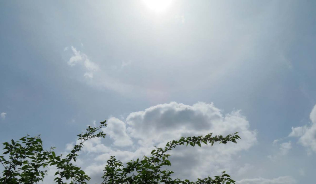 青空だけど薄い雲がかかってる天気。ハロが出ていました（12:45）
#ハロ
#天気の図鑑