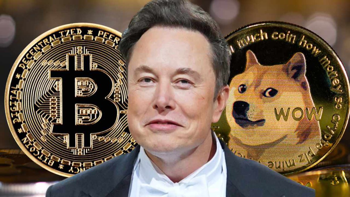 <a href="/elonmusk/">Elon Musk</a> induced the memecoin maniac &amp; its limitless possibilities….

Back in

🦮2020 - <a href="/dogecoin/">Dogecoin</a> by its own doge chain +7,413%

🐶2021 - <a href="/ShibainuCoin/">Shiba Inu</a> on ETH chain +13,668%

🐻2022 - Bear Market

🐸2023 - <a href="/pepecoineth/">Pepe</a> on ETH chain +751,477%

📗2024 - <a href="/Bomebookofmemes/">BOME</a> on SOL