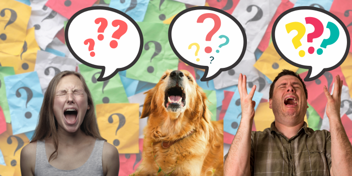 Tom Booker 🚢 tweet media