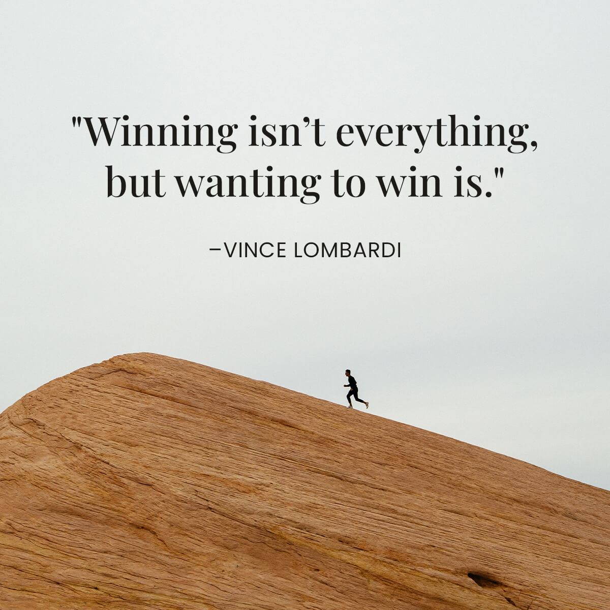 Victory is not everything, but the desire to win is essential.

#inspirationalquotes #quoteoftheday