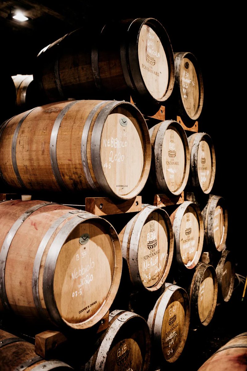 Fun Fact: there are 295 bottles of wine in a barrel

#funfacts #wine #winetasting #winetour