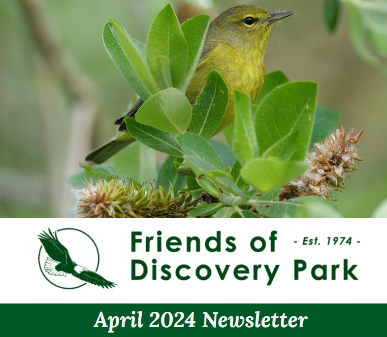 FoDiscoveryPark's tweet photo. #ICYMI: Our April newsletter chronicled the springtime season, upcoming summer opportunities, and a reported cougar sighting near #DiscoveryParkSeattle. Check it out and sign up for monthly updates! https://t.co/Atjk2UWJEw https://t.co/52zlnBcFaJ