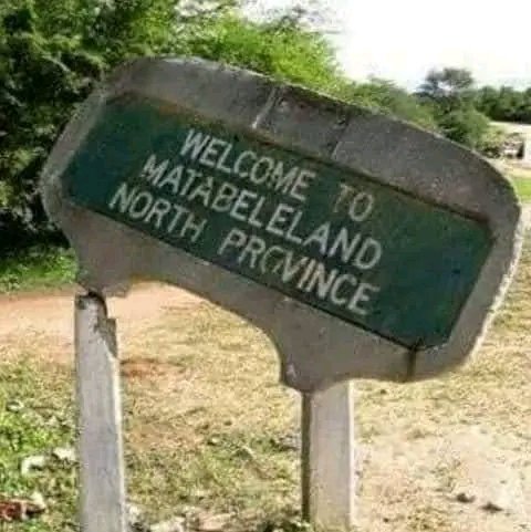 Leokoni's tweet image. As long as @zanupf_patriots is in power, no currency will work or pass the test of time. Bookmark this X