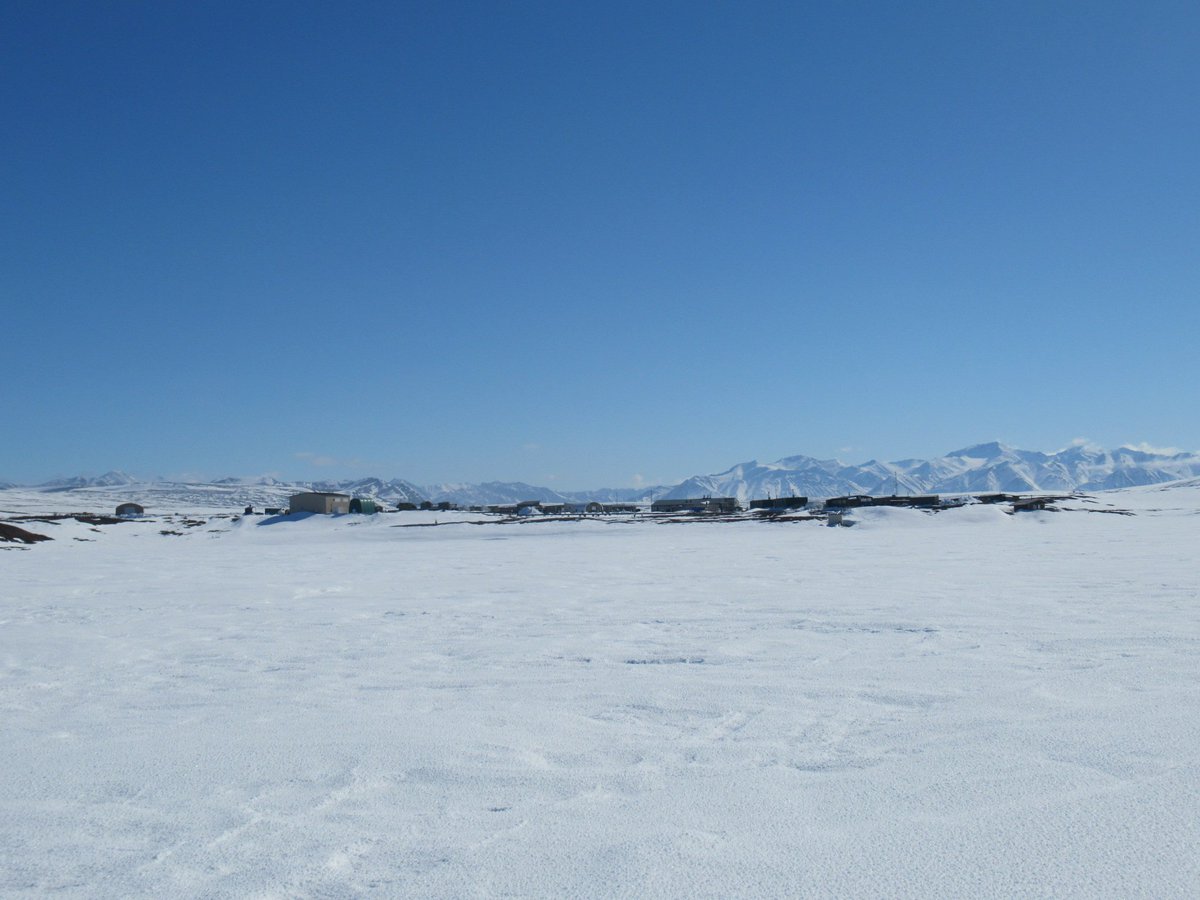 Dr. Amanda Young tweet media