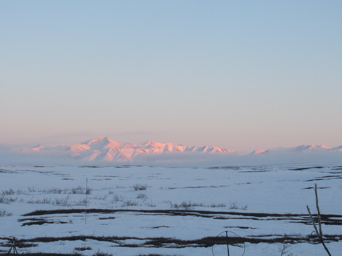 Is it spring? 
Cold first day up at Toolik with highs near 15 and lows below 0f. Despite the cold it is beautiful with bluebird skies. Not to be out shown the mountains a radiant with alpine glow in the evening and the ptarmigan flicks are getting ever bigger.