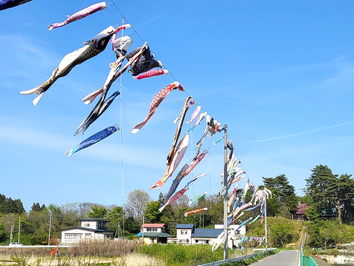 5月5日(金) #こどもの日 に、#五戸町 桜沼公園で「桜沼のちいさなおまつり」が開催🌸
#こいのぼり づくりのワークショップや、カヤック体験（予約制）など、子どもが楽しめるイベントが盛りだくさん😆
こどもの日🎏は五戸町に遊びに行こう🕺

イベント詳細は👇
gonohe-kankou.jp/topics/topics-…
#VISITはちのへ