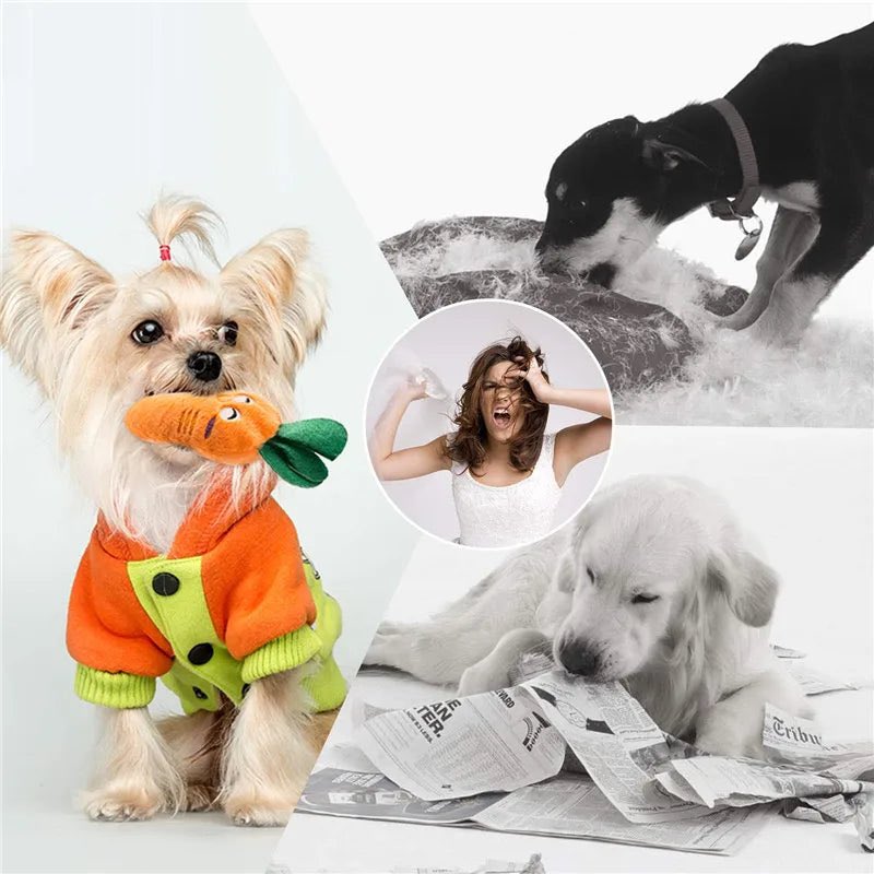 10/20/50 Pack Dog Squeaky Toys Plush Games Cute Plush Toys for Small 

Available for purchase at americasswag.com/products/10-20…

#dogfeatures #petsofinsta #petsphotography #pets_perfection #dogsofchicago #petsittinglife #doggo #petsarefamily #cutepets #dogsplaying #dogswithbeards