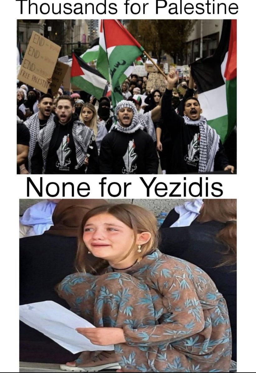 Explain why thousands for Palestine, none for the Yazidi.