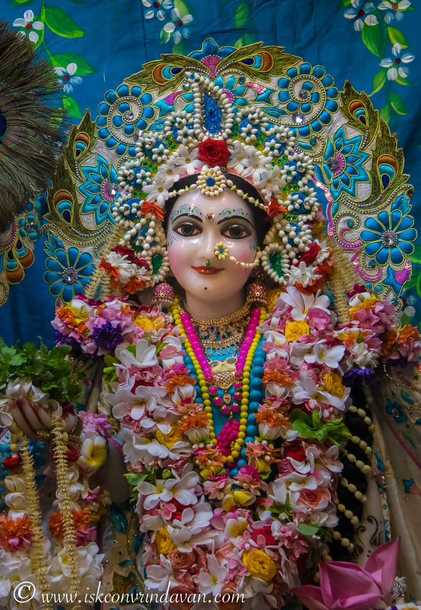 Always strive to radiate love and light, reflecting the very essence of Lord Krishna's divine presence.✨

#lordkrishna #krishnaleela #radhakrishna #krishnalove #krishnaconsciousness #radheradhe #harekrishna