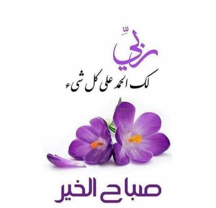 🦋🍃 باسمك اللهُم نشعر شعورًا طيبًا يملأهُ الخير وتحفّه الطمأنينة ويُرافقه يقينًا صادقًا بك بأن كل ما هو لنا ومُقدر علينا سيجدنا ونجده ويُحبنا ونُحبه . 🍃 #امطار_الخير #المنطقة_الشرقية #صباح_الاجواء_الحلوه #صباح_الخير_والسعاده_للجميع