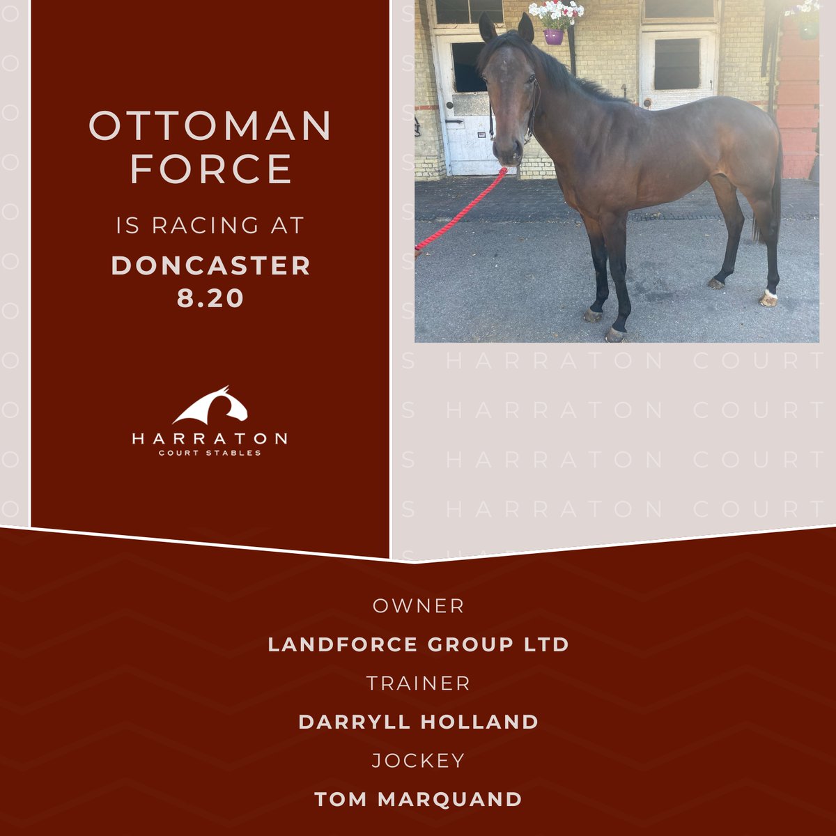 Ottoman Force is all ready for Doncaster today! Good luck to owner Landforce Group Ltd, trainer #DarryllHolland and jockey @TomMarquand 🍀