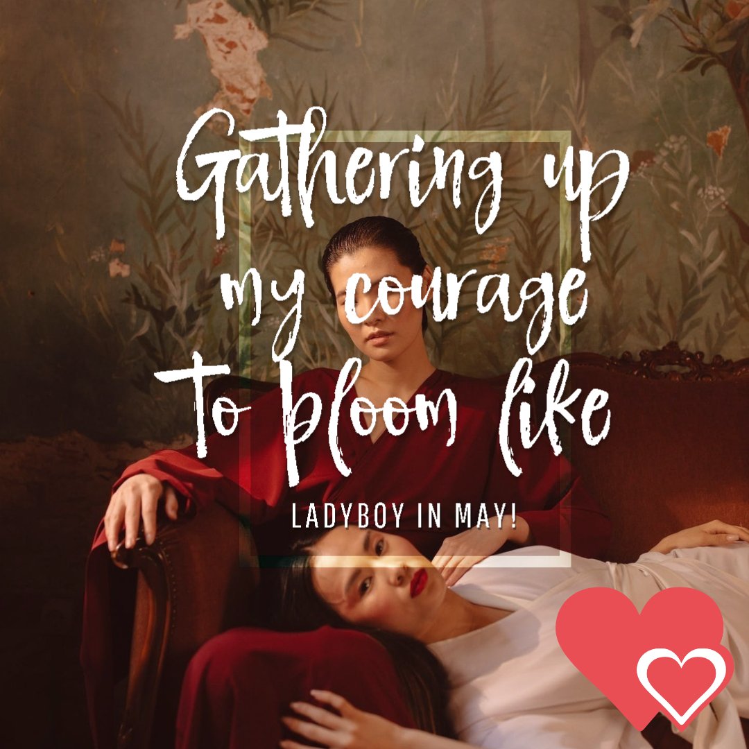Gathering the courage to bloom like a 🌸 Ladyboy in May! No matter who you are, it's up to you to have the courage to own your power + thrive.
myladyboycupid.com
#CourageToBloom #Ladyboy #OwnYourPower #ThriveOn #asianladyboy #ladyboylover #transexual #feminization