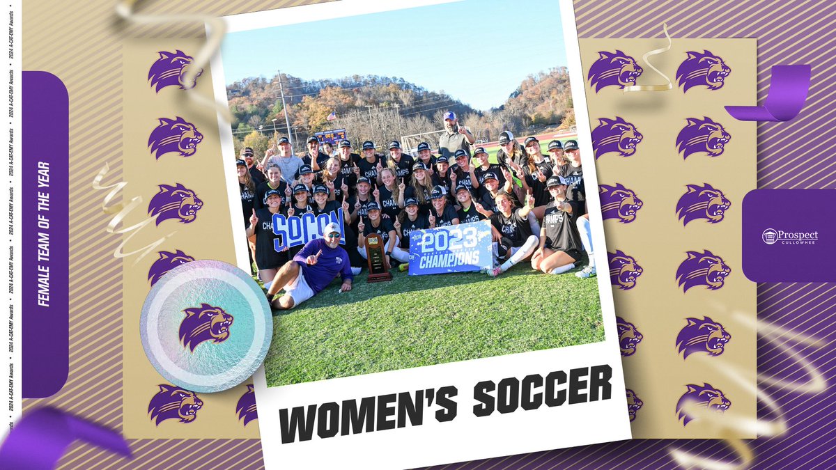 The Catamount Team of The Year award goes to the WCU team that displayed the overall best performance during their respective season. Congratulations to @CatamountsFB & @catamountsoccer on their historic seasons!