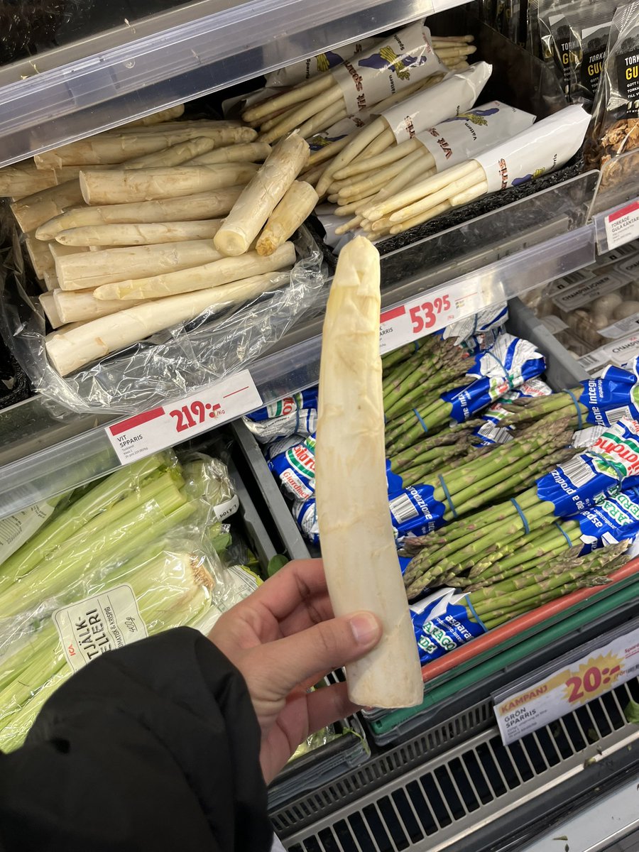 Look at this !! Asparagus this season bigger than your dik dik ใหญ่เกือบเท่าแขนดิฉันเลยค่ะ 🤭