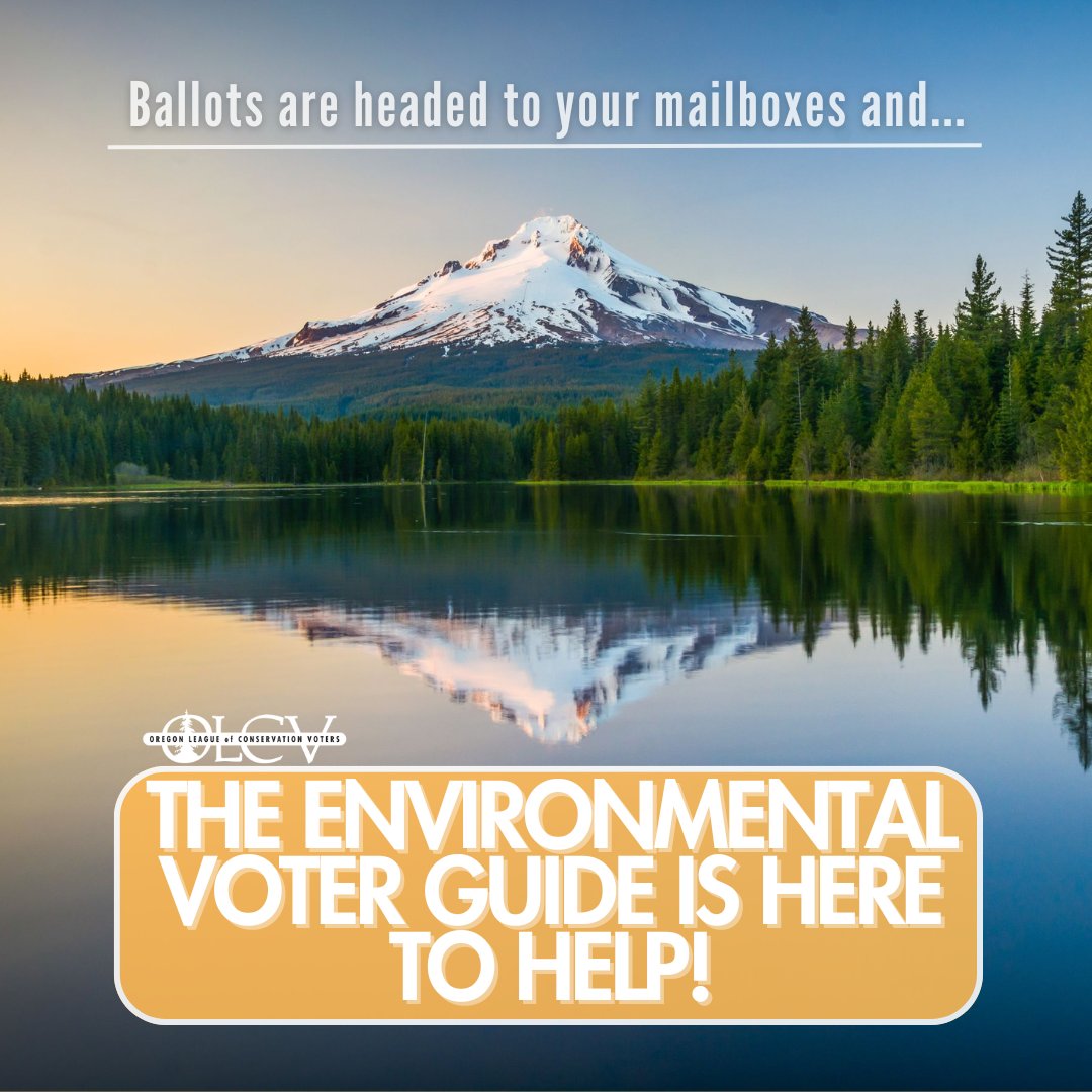 Gear up for the election by learning about all the candidates! Make sure you know who you’re voting for and where they stand on environmental justice & climate action by checking out our Environmental Voter Guide: olcv.org/2024-endorseme…

#vote #ORClimateAction #OregonVote #orpol