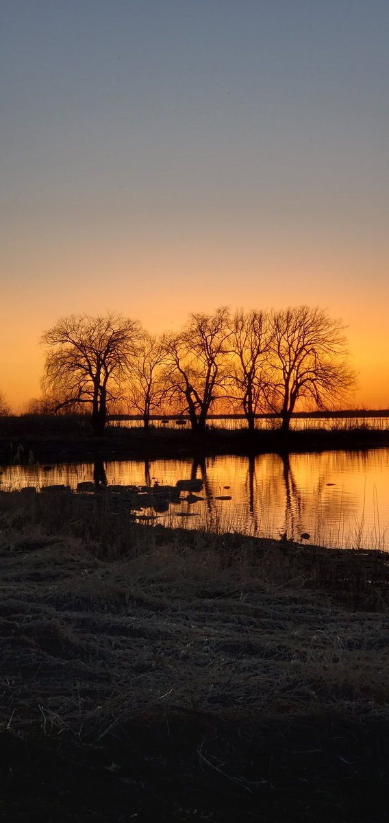 CynleeF's tweet image. Post a RECENT picture you took. No description,just the picture