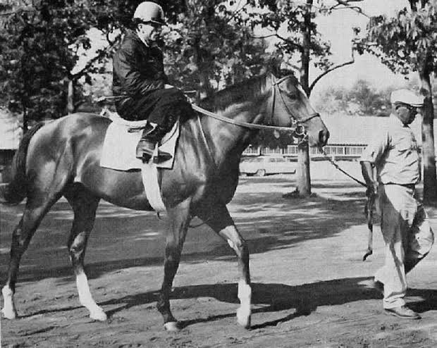 Northern Dancer ( KY Derby Winner 1964) descendants inc Nijinsky, Sadlers Wells, Giants Causeway, Galileo , Justify, Frankel, Danehill, Fastnet Rock, Deep Impact, Redoute’s Choice, Winx, Minding, Yeats, Black Caviar to name a few…