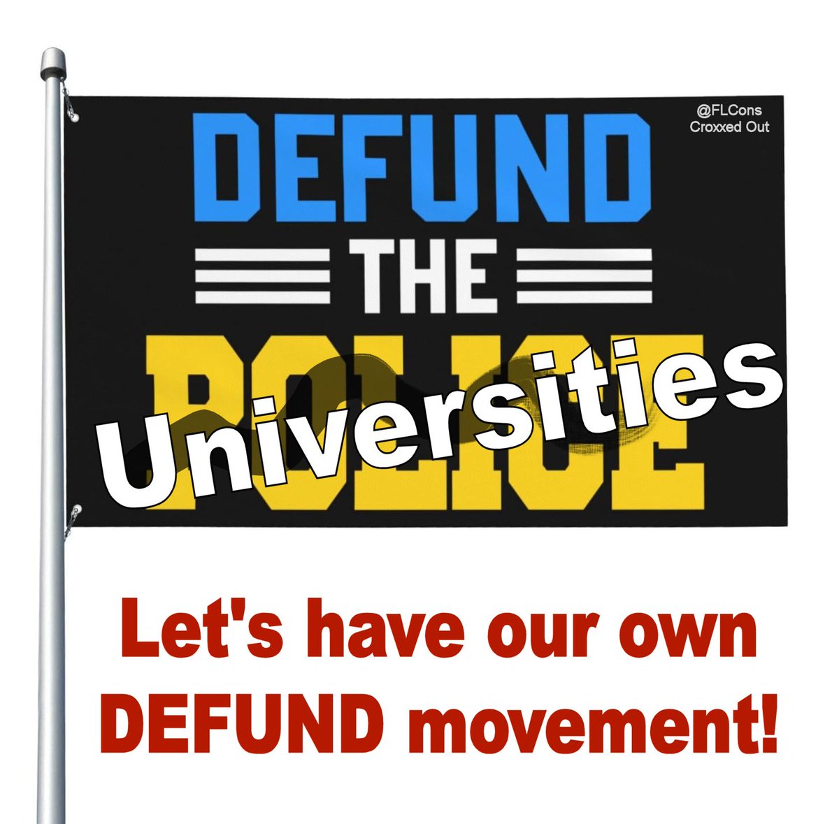 It's becoming quite apparent that the universities have allowed this kind of undercurrent to percolate for years. So should we? Is it time to defund them?