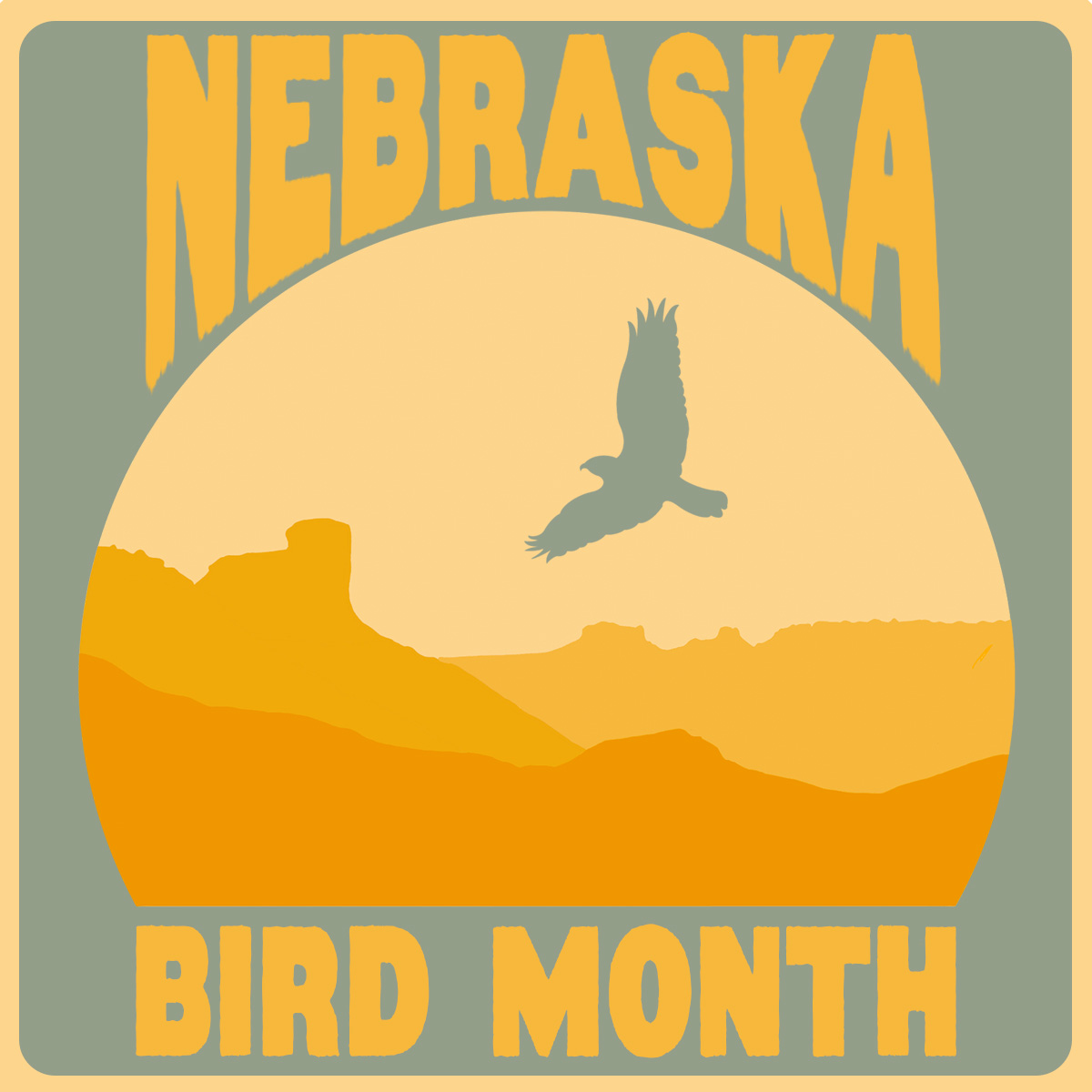 Nebraska Bird Month is an annual celebration throughout the month of May — a time when birders and nature lovers come together to appreciate the more than 400 bird species that live or pass through Nebraska. Find Bird Month Events: brnw.ch/21wJnB9