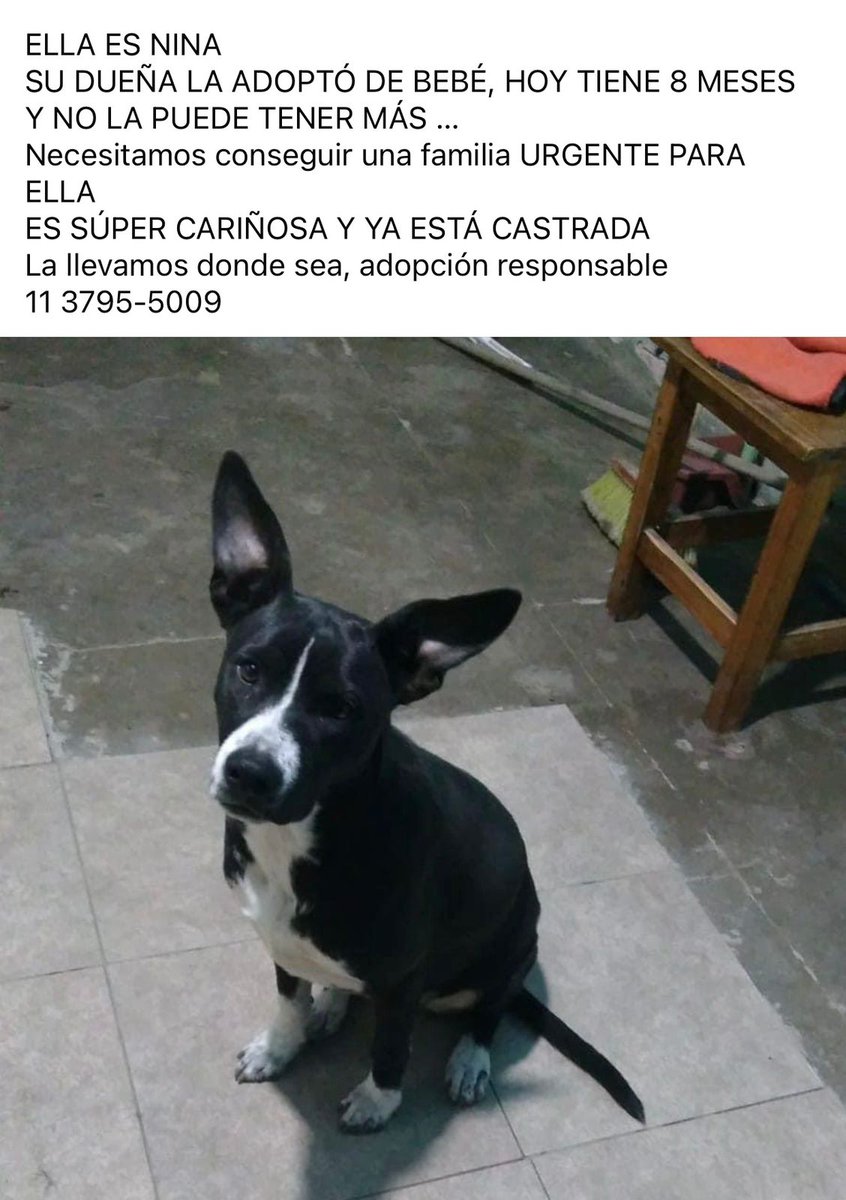 Difundimos