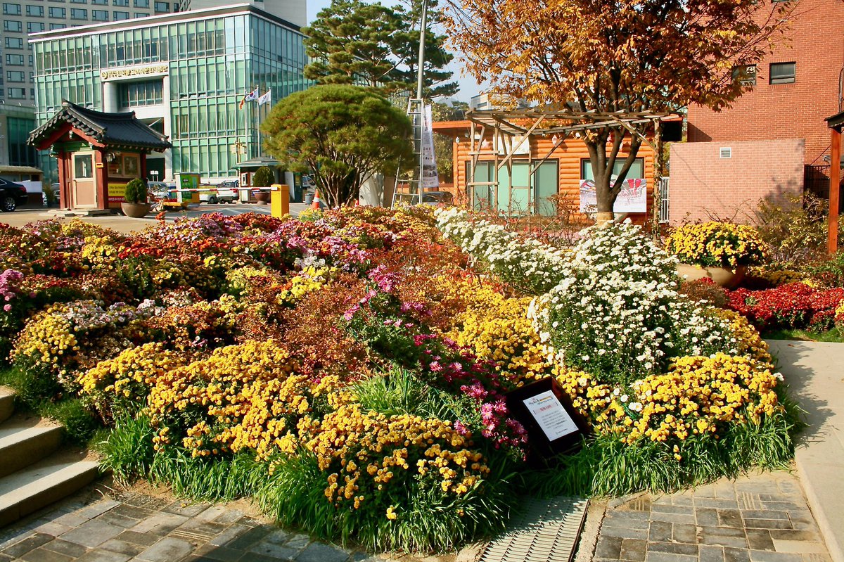 Rincones de Seúl, Corea del Sur 🇰🇷 en el año 2013. #alldaytraveling #amoviajar #aroundtheworld #beautifuldestinations #placestogo #discoverearth #destinationearth #travelblogger #wanderlust #phototravel #igtraveller #igworldtrip #igglobalclub #greatphoto #seul #coreadelsur