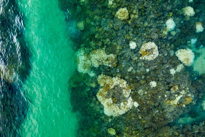 Exciting news! The Hawaiʻi Coral Bleaching Collaborative (HCBC) just launched their new website! Since 2015, #HCBC has united scientists, managers, and agencies to track coral bleaching across Hawaiʻi. Dive into past data, monitoring tools, and more! hcbc-uhm.hub.arcgis.com