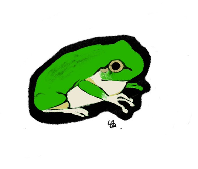 「frog looking at viewer」 illustration images(Latest)