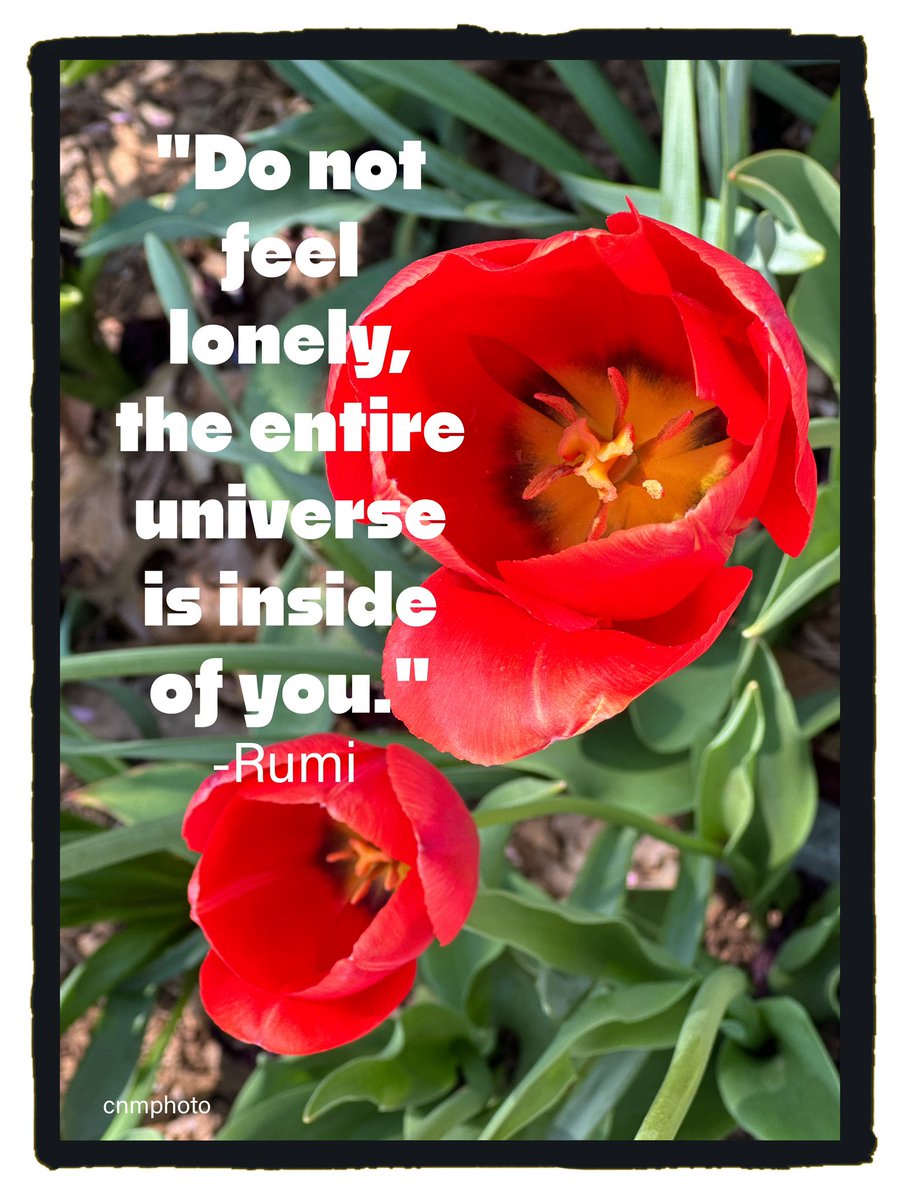 Check out this post on Lemon8! v.lemon8-app.com/s/FQUsUFspR 'Do not feel lonely, the entire universe is inside of you.' -Rumi 

#quoteoftheday #cnmcreates #cnmarts #cnmartwork #gratefulheart #artappreciation #artjournal #artjourney #artgallery #mobilephotography #photography