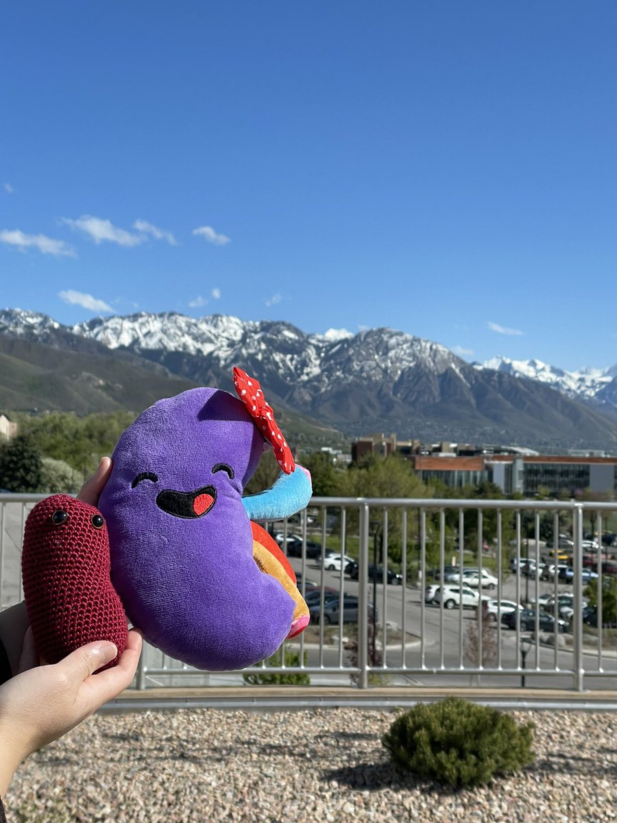 Seeing the mountains for the first time!!! 💕💕 #SydneyTheKidney @pittkidneyctr