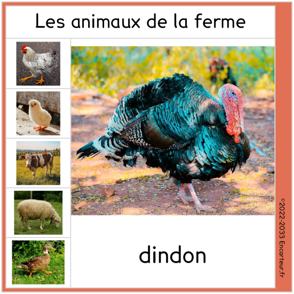 Exemples de carte dans différents thèmes #Encarteur