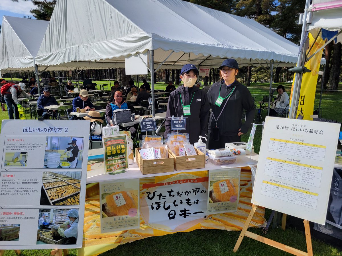 女子プロゴルフ「サロンパスカップ」。
ひたちなか市のブースで干しいも販売しています。