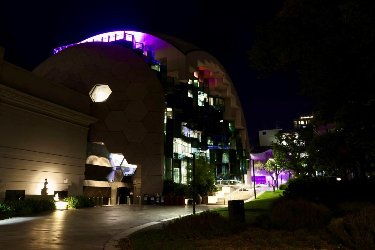 Last night, Geelong landmarks lit up purple as part of National Domestic Violence Remembrance Day and @safestepsfv Candlelight Vigil in remembrance of the women and children who have been killed as a result of family violence.