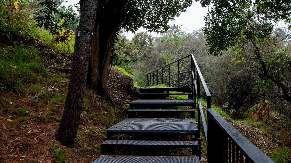 ¿Ya visitaste el circuito Serpientes y Escaleras en la Tercera Sección del Bosque de #Chapultepec?  🤔

Recuerda que puedes disfrutar de este espacio de lunes a domingo las 24 horas del día.